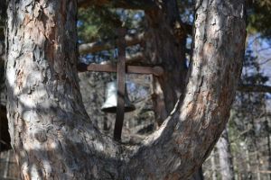 Στην Άνω Μηλιά των Πιερίων Στην Άνω Μηλιά των Πιερίων