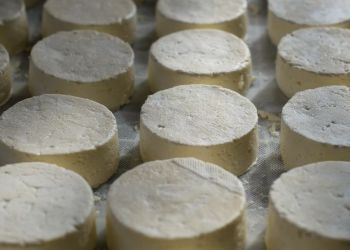 «Χρυσός» το τυρί και το γιαούρτι – Συνεχίζεται το ράλι των αυξήσεων