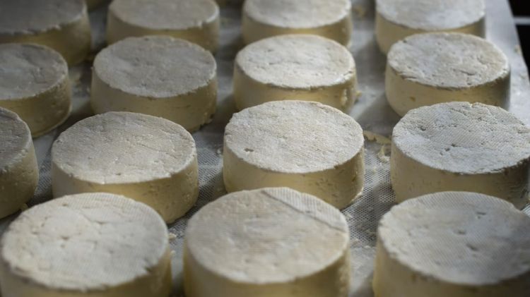 «Χρυσός» Το Τυρί Και Το Γιαούρτι – Συνεχίζεται Το Ράλι Των Αυξήσεων