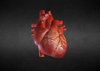 Βηματοδότης χωρίς μπαταρίες που λειτουργεί με … φως