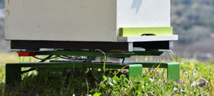 Βιωματικές ιστορίες επιτυχίας ευφυούς γεωργίας – Μια έξυπνη μελισσοκομική μονάδα