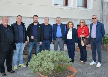 Η Μαρία Μίχου στη συνάντηση του κλιμακίου του ΠΑΣΟΚ ΚΙΝΑΛ με την ΠΕΣΚΟ για το ακτινίδιο