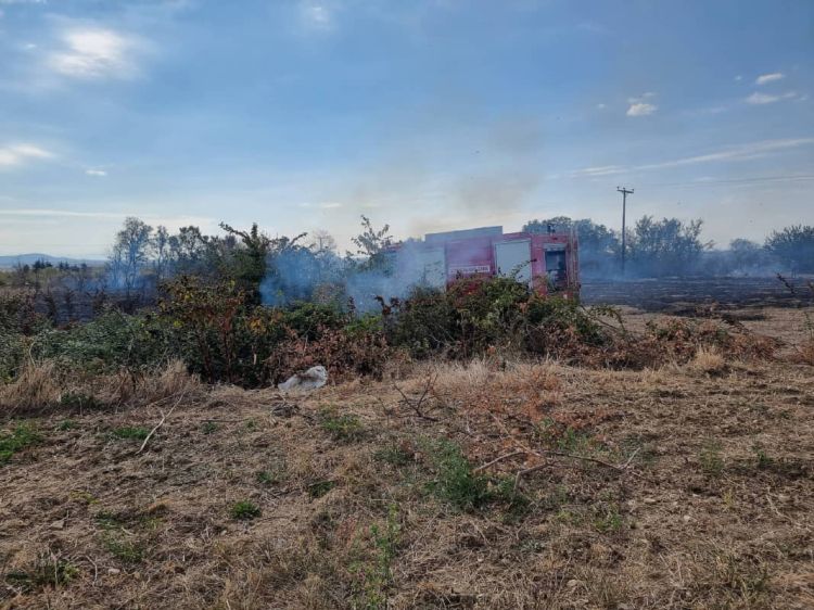 Υδρογονάνθρακες Υδρογονάνθρακες