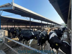 Ο Πρωθυπουργός Κυριάκος Μητσοτάκης στo Κολινδρό Πιερίας (εικόνες + βίντεο)