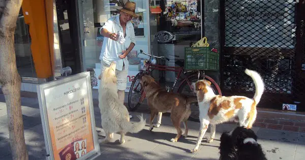 Οι καλοσυνάτοι του νοσοκομείου Κατερίνης και η εκδημία του Λούθηρου Οι καλοσυνάτοι του νοσοκομείου Κατερίνης και η εκδημία του Λούθηρου