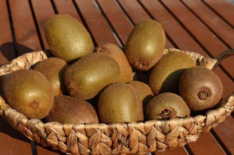 «Ανοίγουν» οι δρόμοι του Ισραήλ για το ελληνικό ακτινίδιο «Ανοίγουν» οι δρόμοι του Ισραήλ για το ελληνικό ακτινίδιο