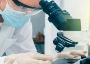 Απρόσμενη ανακάλυψη για τη λειτουργία του εγκεφάλου από Έλληνες επιστήμονες στη Δανία