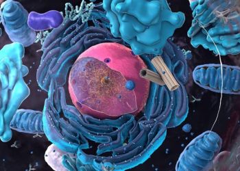 Αυτόματο προσχέδιο