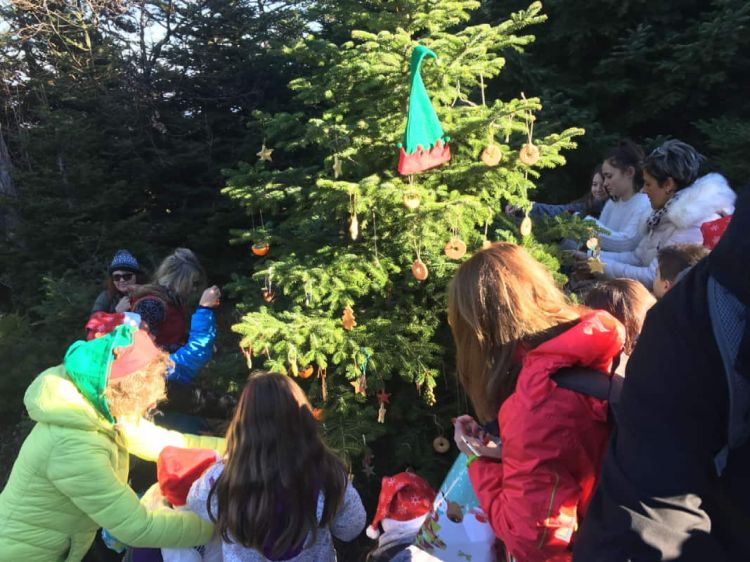 Δήμος Κατερίνης –  ΕΟΣ: «Κάνε την καρδιά σου φάτνη» – Οικογενειακή γιορτή