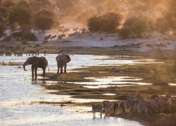 Ιστορική συμφωνία για την προστασία της φύσης στη Διάσκεψη του ΟΗΕ