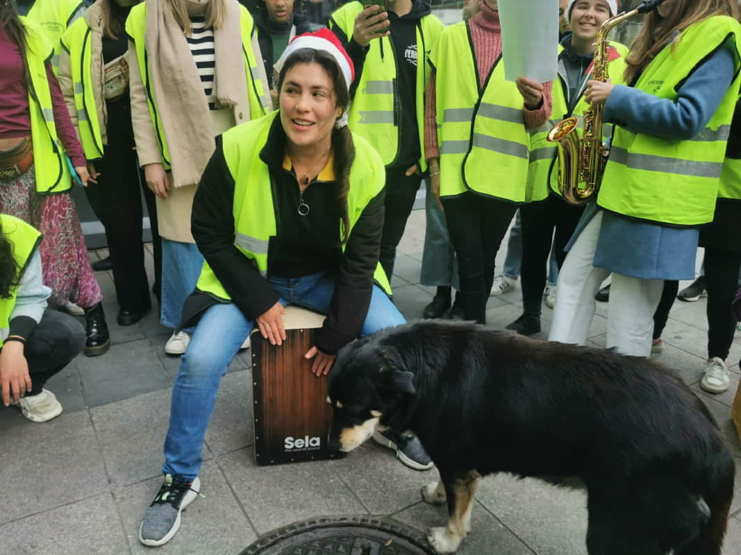 Οι σπουδαστές Erasmus στην πόλη μας Οι σπουδαστές Erasmus στην πόλη μας