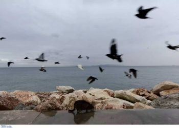 Ο Καιρός σήμερα: Λίγες νεφώσεις παροδικά αυξημένες από το μεσημέρι