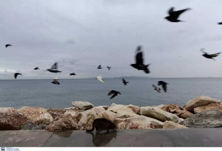 Ο Καιρός σήμερα: Λίγες νεφώσεις παροδικά αυξημένες από το μεσημέρι Ο Καιρός σήμερα: Λίγες νεφώσεις παροδικά αυξημένες από το μεσημέρι