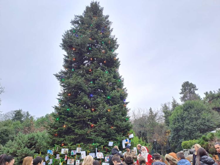 Πάρκο Κατερίνης: Ολοκληρώθηκε ο στολισμός του Δέντρου των Ευχών