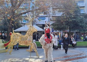 Παραδοσιακό δρώμενο ¨Ντιβιτζήδες & Καμήλες¨