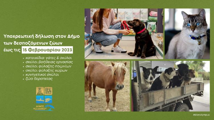 Υποχρεωτική η δήλωση των δεσποζόμενων ζώων μέχρι τις 15 Φεβρουαρίου 2023 Υποχρεωτική η δήλωση των δεσποζόμενων ζώων