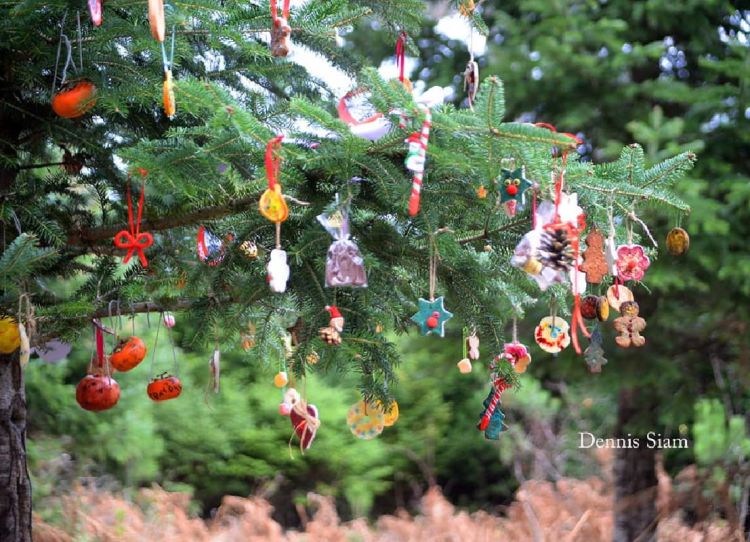 Χριστουγεννιάτικες εκδηλώσεις του ΕΟΣ Κατερίνης Χριστουγενιατικες εκδηλώσεις του ΕΟΣ Κατερινης