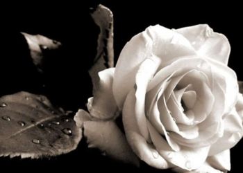 Ο Σύνδεσμος Διαιτητών Ποδοσφαίρου Ν. Πιερίας εκφράζει τα θερμά και ειλικρινή συλλυπητήρια στην οικογένεια Κόιτς