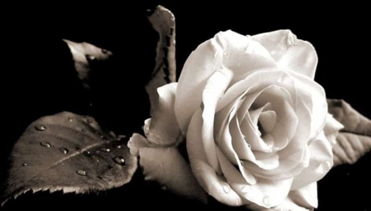 Ο Σύνδεσμος Διαιτητών Ποδοσφαίρου Ν. Πιερίας εκφράζει τα θερμά και ειλικρινή συλλυπητήρια στην οικογένεια Κόιτς