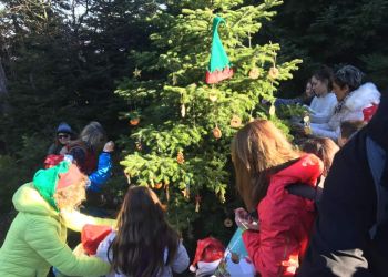 Δήμος Κατερίνης –  ΕΟΣ: «Κάνε την καρδιά σου φάτνη» – Οικογενειακή γιορτή