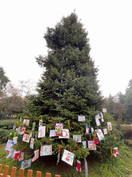 Κατερίνη: Πόσες Ευχές Μπορούν Να Χωρέσουν Πάνω Σε Ένα Χριστουγεννιάτικο Δέντρο;