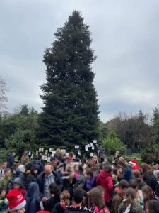 Κατερίνη: Πόσες ευχές μπορούν να χωρέσουν πάνω σε ένα χριστουγεννιάτικο δέντρο;
