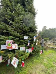 Κατερίνη: Πόσες ευχές μπορούν να χωρέσουν πάνω σε ένα χριστουγεννιάτικο δέντρο;