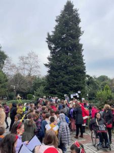 Κατερίνη: Πόσες ευχές μπορούν να χωρέσουν πάνω σε ένα χριστουγεννιάτικο δέντρο;