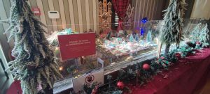 Κατερίνη: Σε εορταστικό κλίμα η πόλη