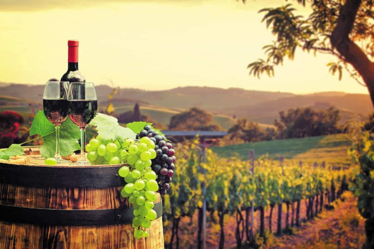 Οινοτουρισμός: Η Ελλάδα είναι ένας από τους καλύτερους προορισμούς για Wine Lovers στον κόσμο!