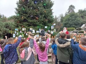 Πάρκο Κατερίνης: Ολοκληρώθηκε ο στολισμός του Δέντρου των Ευχών