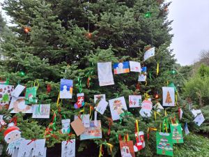 Πάρκο Κατερίνης: Ολοκληρώθηκε ο στολισμός του Δέντρου των Ευχών