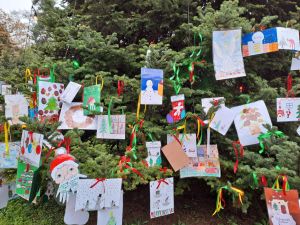 Πάρκο Κατερίνης: Ολοκληρώθηκε ο στολισμός του Δέντρου των Ευχών