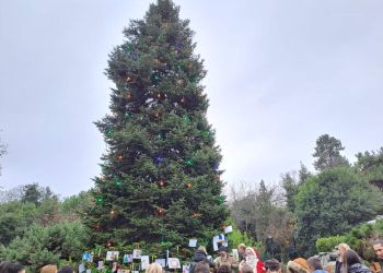 Πάρκο Κατερίνης: Ολοκληρώθηκε ο στολισμός του Δέντρου των Ευχών