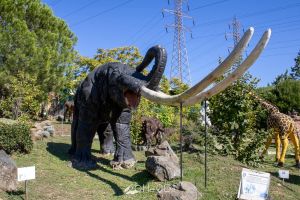 Περιβαλλοντικό πάρκο δεινοσαύρων – Μουσείο Μαμούθ