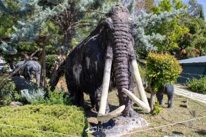 Περιβαλλοντικό πάρκο δεινοσαύρων – Μουσείο Μαμούθ