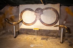 Περιβαλλοντικό πάρκο δεινοσαύρων – Μουσείο Μαμούθ