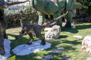 Περιβαλλοντικό πάρκο δεινοσαύρων – Μουσείο Μαμούθ