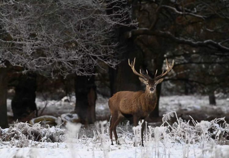 Έρχονται χιόνια και κρύο σε όλη την Ευρώπη