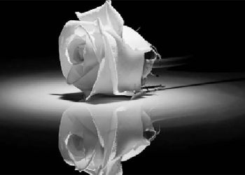 Αιγινιακός – “Έφυγε” ο πρώην πρόεδρος, Βασίλης Κόντος