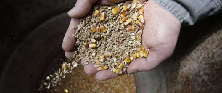 Διεύθυνση Δημόσιας Υγείας και Κοινωνικής Μέριμνας: Δήλωση παραγωγής ζωοτροφών Διεύθυνση Δημόσιας Υγείας και Κοινωνικής Μέριμνας: Δήλωση παραγωγής ζωοτροφών