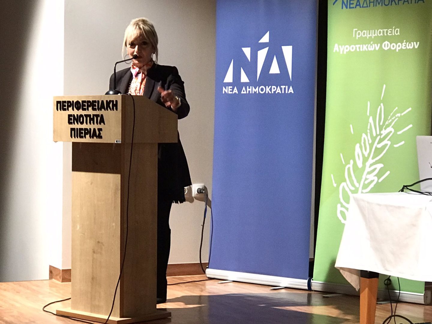 Ημερίδα για τα πεπραγμένα στον πρωτογενή τομέα της ελληνικής γεωργίας την περίοδο 2019 - 2023 Καρίτσα – Ημερίδα για τα πεπραγμένα στον πρωτογενή τομέα της ελληνικής γεωργίας την περίοδο 2019 – 2023