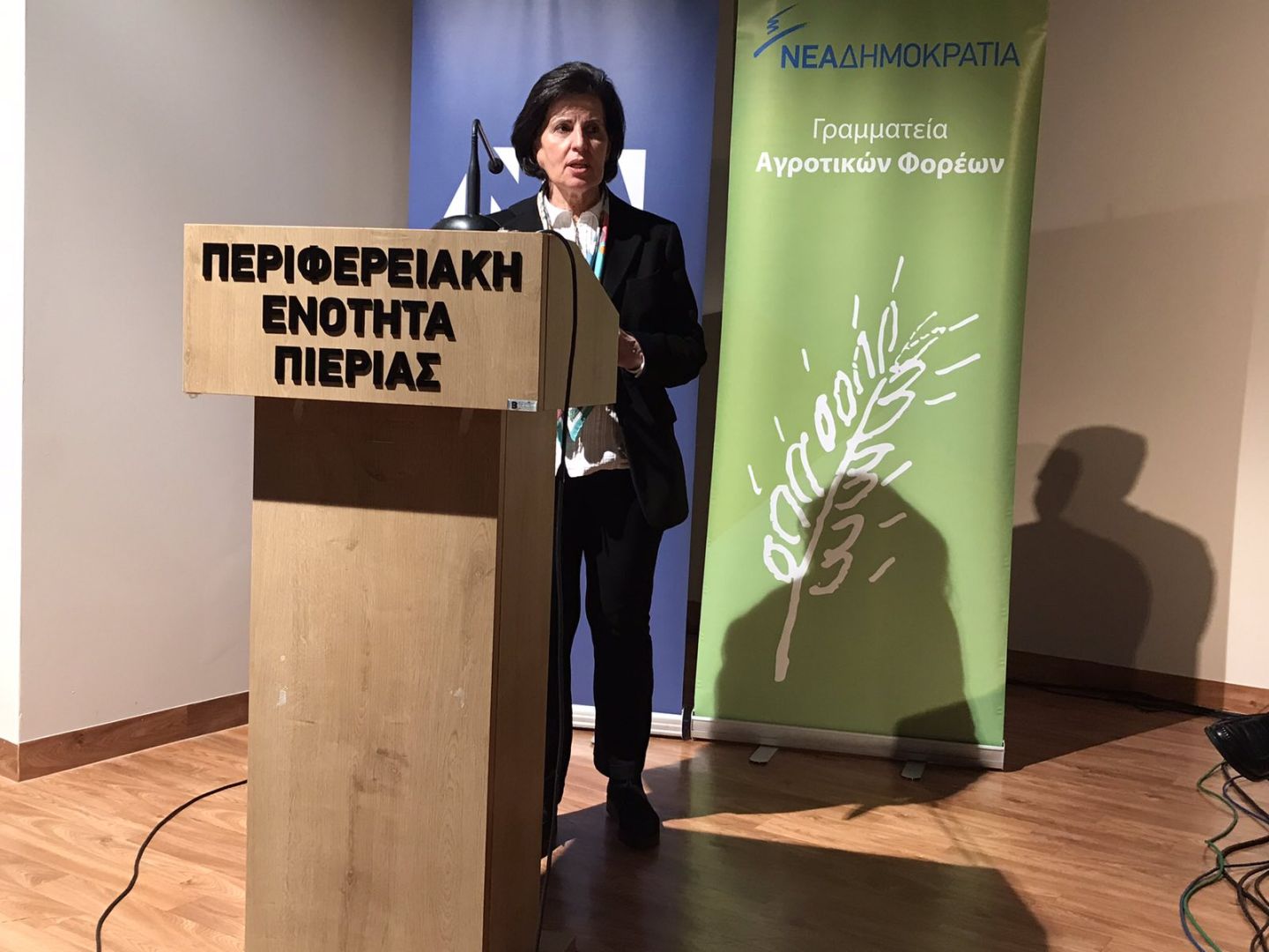 Ημερίδα για τα πεπραγμένα στον πρωτογενή τομέα της ελληνικής γεωργίας την περίοδο 2019 - 2023 Καρίτσα – Ημερίδα για τα πεπραγμένα στον πρωτογενή τομέα της ελληνικής γεωργίας την περίοδο 2019 – 2023