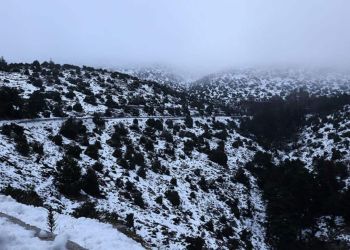 Ο Καιρός σήμερα: Νεφώσεις παροδικά αυξημένες με τοπικές βροχές ή χιονόνερο