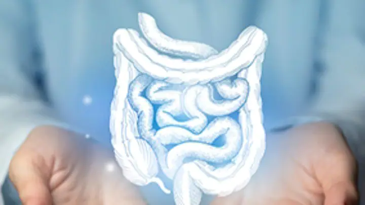 Ο βαθύς διαλογισμός αυξάνει τα «καλά» μικρόβια του εντέρου, που προστατεύουν την υγεία Ο βαθύς διαλογισμός αυξάνει τα «καλά» μικρόβια του εντέρου, που προστατεύουν την υγεία