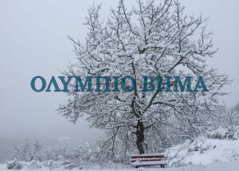 Χιόνι στο Ελατοχώρι – Το πρώτο χιόνι του φετινού χειμώνα