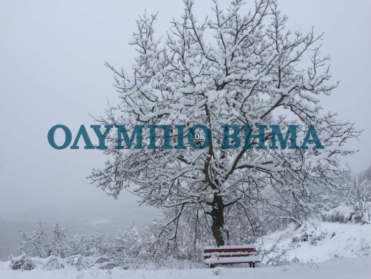 Χιόνι στο Ελατοχώρι – Το πρώτο χιόνι του φετινού χειμώνα