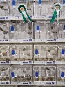 70ο Παγκόσμιο Πρωτάθλημα Ορνιθολογίας - Πέντε Μετάλλια για τον Γιώργο Σκουλαριώτη 70ο Παγκόσμιο Πρωτάθλημα Ορνιθολογίας – Πέντε Μετάλλια για τον Γιώργο Σκουλαριώτη