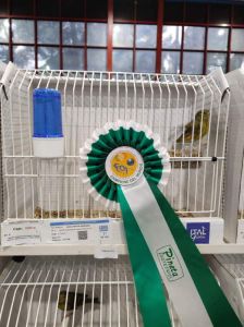 70ο Παγκόσμιο Πρωτάθλημα Ορνιθολογίας - Πέντε Μετάλλια για τον Γιώργο Σκουλαριώτη 70ο Παγκόσμιο Πρωτάθλημα Ορνιθολογίας – Πέντε Μετάλλια για τον Γιώργο Σκουλαριώτη