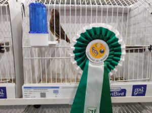 70ο Παγκόσμιο Πρωτάθλημα Ορνιθολογίας - Πέντε Μετάλλια για τον Γιώργο Σκουλαριώτη 70ο Παγκόσμιο Πρωτάθλημα Ορνιθολογίας – Πέντε Μετάλλια για τον Γιώργο Σκουλαριώτη